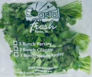 cilantro-iceless-10x3-bag